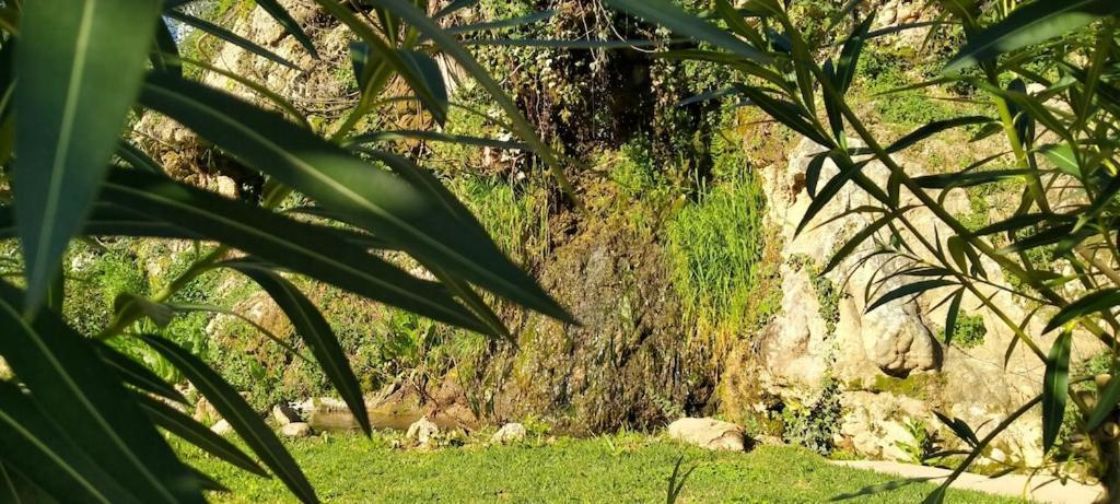 Molino Del Caracol Villa Benaoján Екстериор снимка
