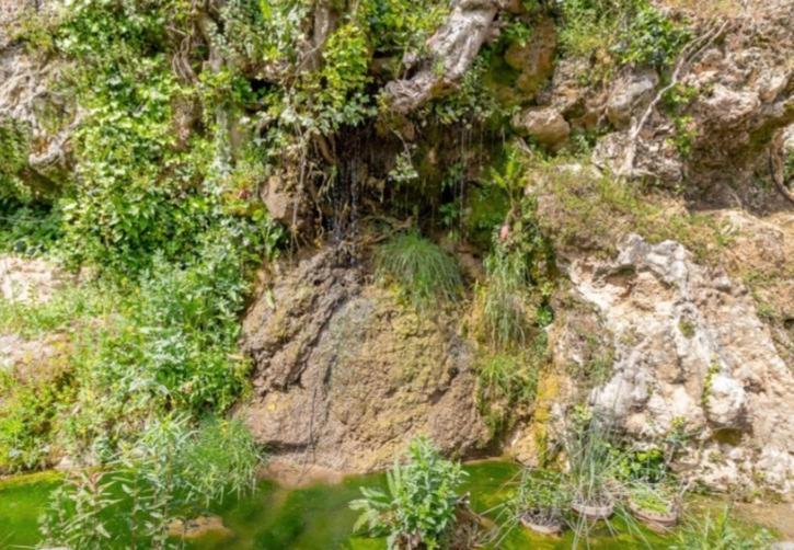 Molino Del Caracol Villa Benaoján Екстериор снимка