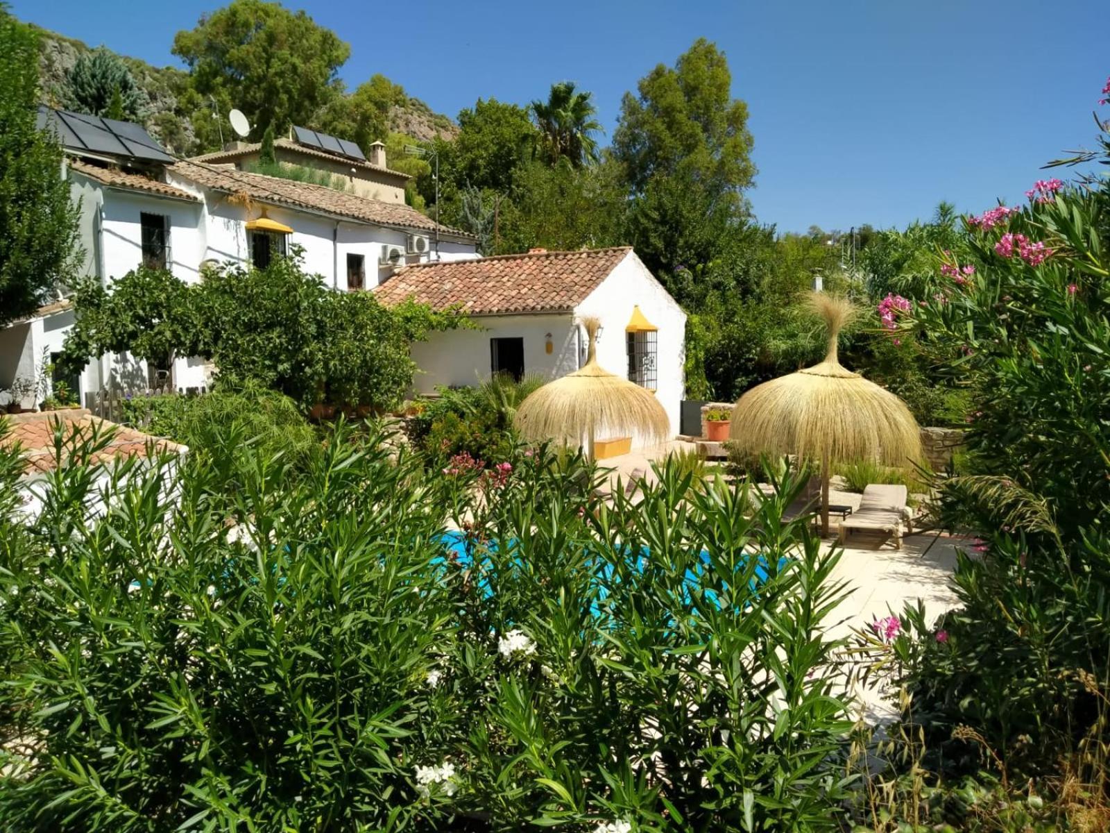 Molino Del Caracol Villa Benaoján Стая снимка