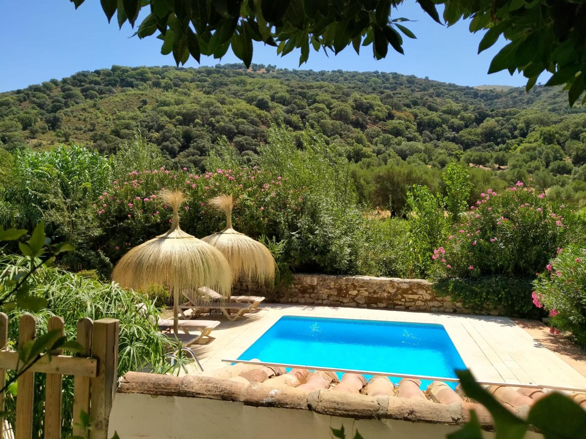 Molino Del Caracol Villa Benaoján Стая снимка